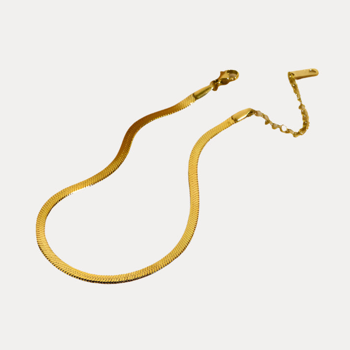 Golden Duo Anklet Bracelet